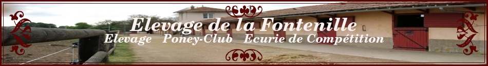 Elevage de la Fontenille